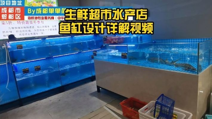 超市用水產養殖魚缸：超市水產養殖魚缸價格