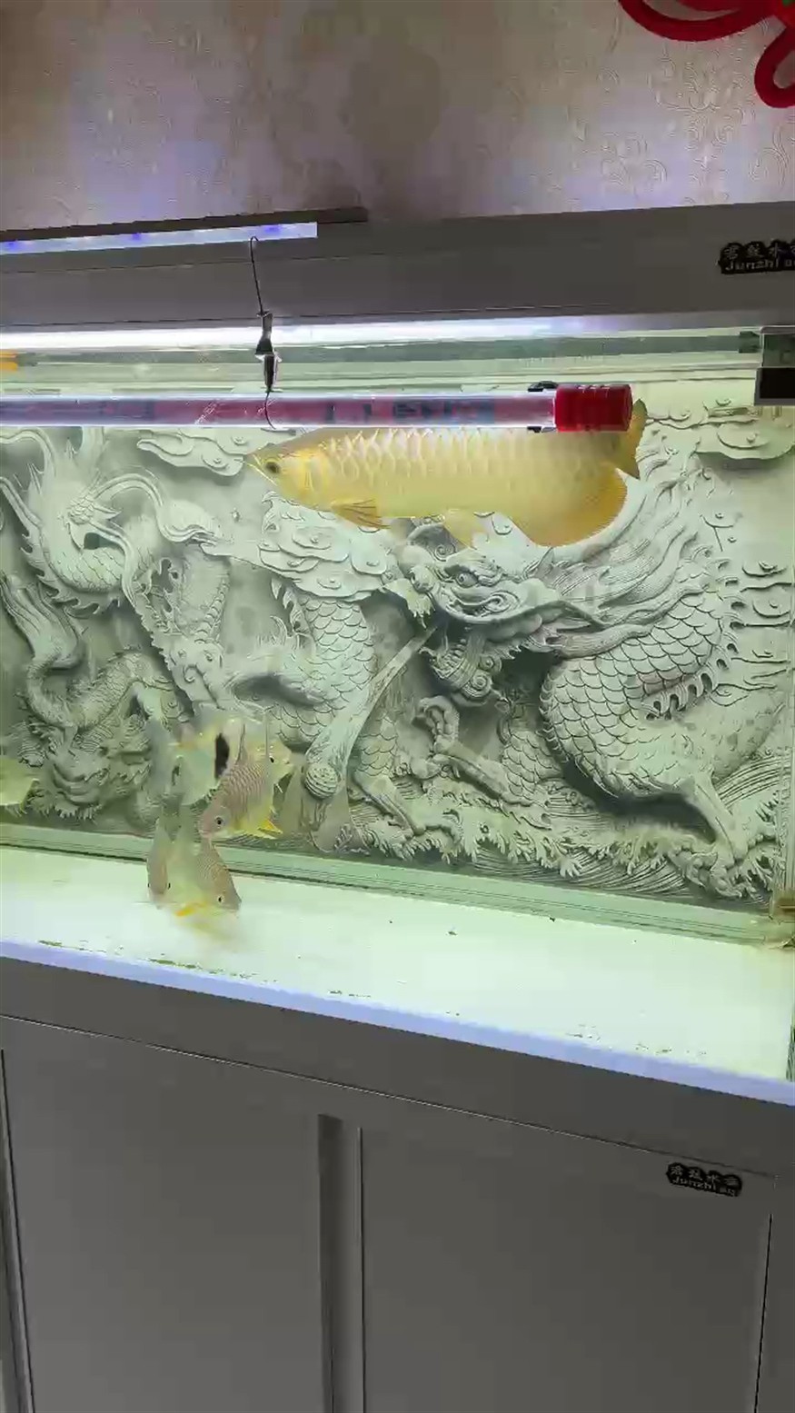 過背金