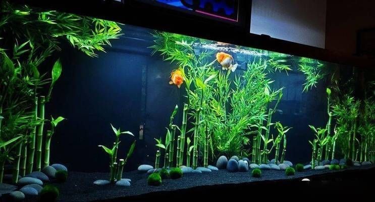 超白魚缸容易爆嗎：超白魚缸爆裂的原因