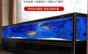 大型魚缸設計和制作方法視頻教學：大型魚缸的設計與制作