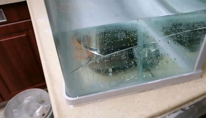 玻璃魚缸突然爆裂預兆什么：玻璃魚缸爆裂的原因及預防措施