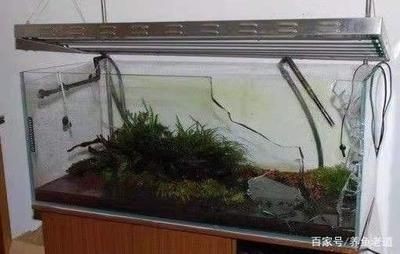 玻璃魚缸突然爆裂預兆什么：玻璃魚缸爆裂的原因及預防措施