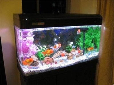 大廳里的魚缸往什么地方放：客廳魚缸擺放的風水注意事項魚缸擺放的風水布局需要注意