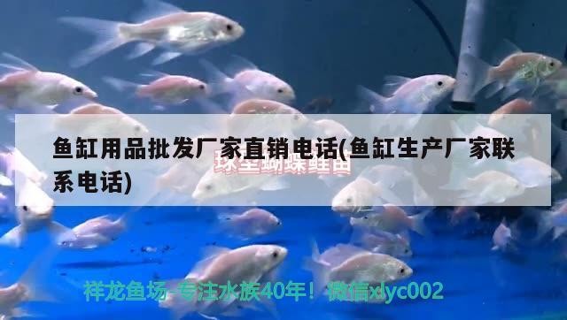 魚缸用品批發廠家直銷電話(魚缸生產廠家聯系電話)