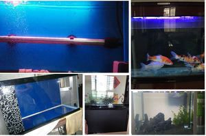 白溝魚缸批發市場在哪里有買：白溝魚缸批發市場