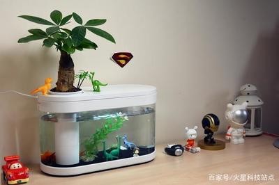 通化市東昌區(qū)王氏水族館