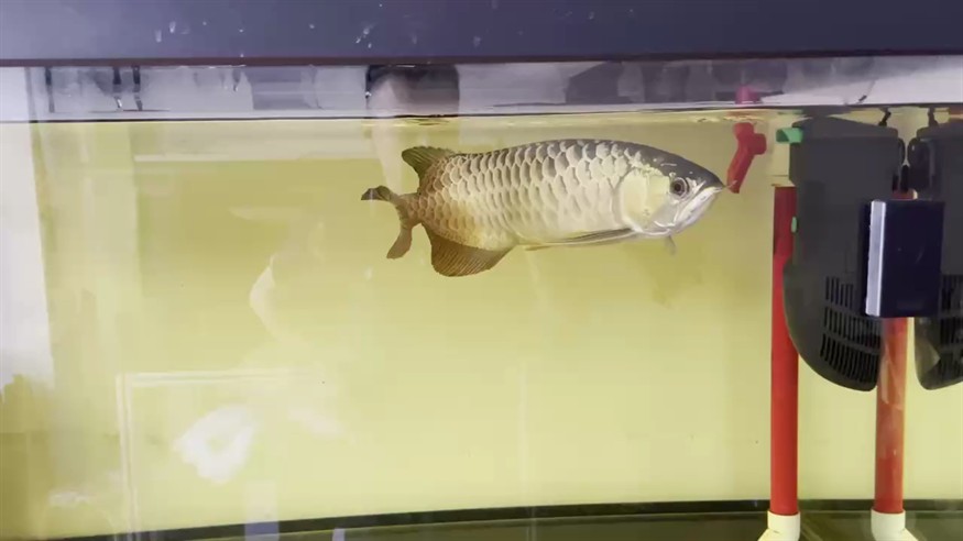 無趣