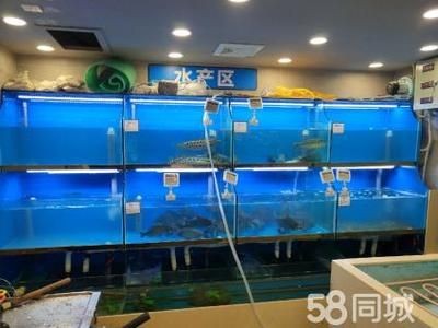 超市魚缸價格多少：超市魚缸價格因尺寸、材質、功能等因素有所不同