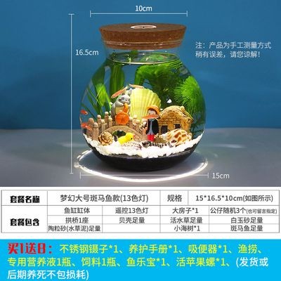斗魚缸需要造景嗎：斗魚缸是否需要造景