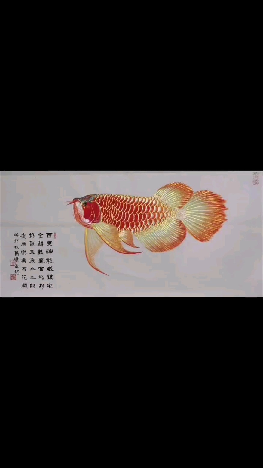 礦物質(zhì) 巖彩龍魚畫#龍魚 #紅龍