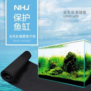 超白小魚缸墊用什么顏色好看：超白小魚缸墊使用什么顏色好看
