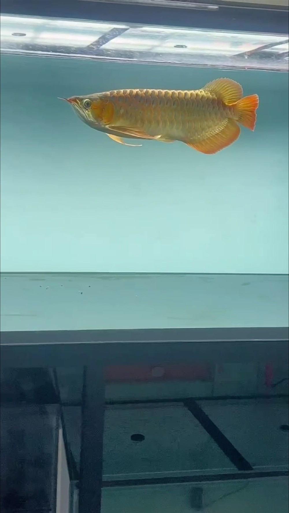你們有用濾材嗎？
記錄沒有用濾材的150日
23.9.19