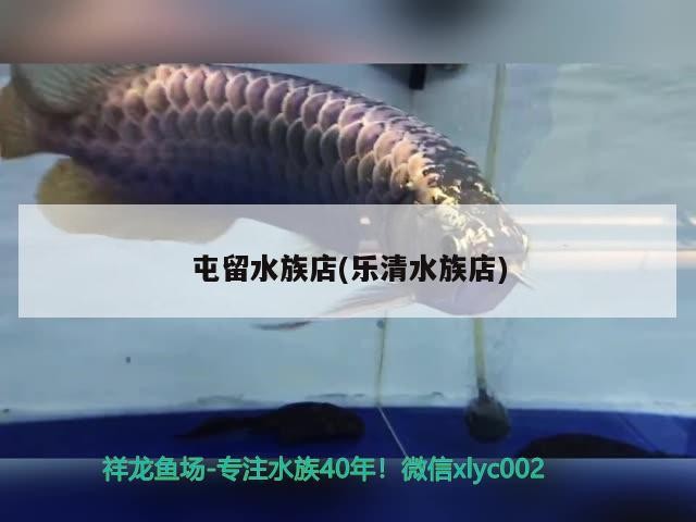 屯留水族店(樂清水族店)