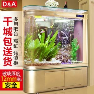 大魚缸換水怎么換視頻教學：大魚缸換水步驟和注意事項