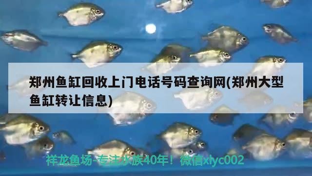 鄭州魚缸回收上門電話號碼查詢網(鄭州大型魚缸轉讓信息)