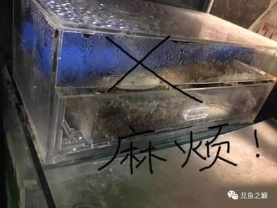 別人送的舊魚缸有啥忌諱的：別人送的舊魚缸不能隨意送給別人