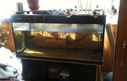 別人送的舊魚缸有啥忌諱的：別人送的舊魚缸不能隨意送給別人