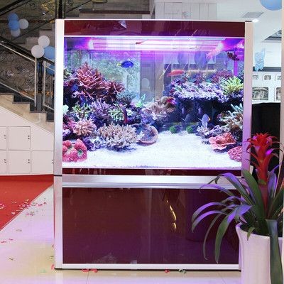 大型魚缸用什么玻璃好看