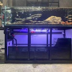 60長40寬40高魚缸養幾條蘭壽：蘭壽金魚的飼養技巧介紹如何在魚缸中飼養蘭壽金魚