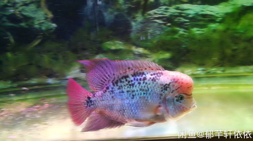 湘潭水族館有大神知道是為什么嗎？