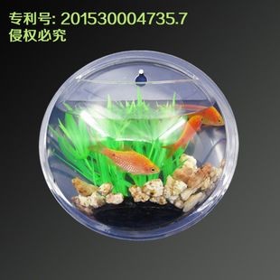 大型圓形透明亞克力魚缸：大型亞克力魚缸定做流程及注意事項