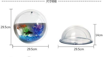 大型圓形透明亞克力魚缸：大型亞克力魚缸定做流程及注意事項