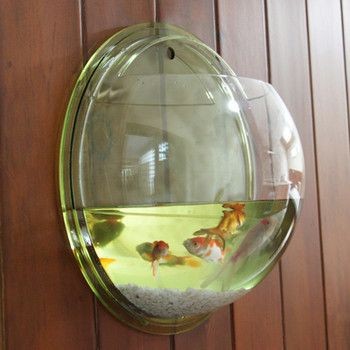 大型圓形透明亞克力魚缸：大型亞克力魚缸定做流程及注意事項