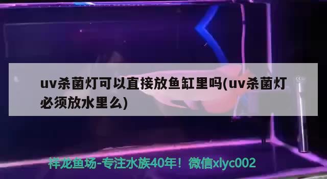 uv殺菌燈可以直接放魚缸里嗎(uv殺菌燈必須放水里么)