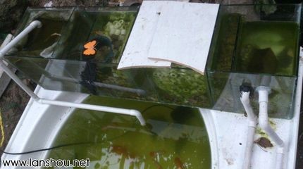 大型魚缸廢物利用圖：大型魚缸的廢物利用