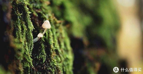 黑龍江天懋物業管理有限公司（黑龍江天懋物業管理有限公司招標文件）
