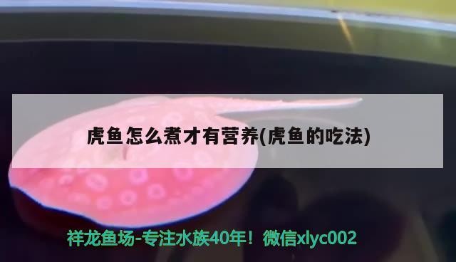 虎魚怎么煮才有營養(虎魚的吃法)