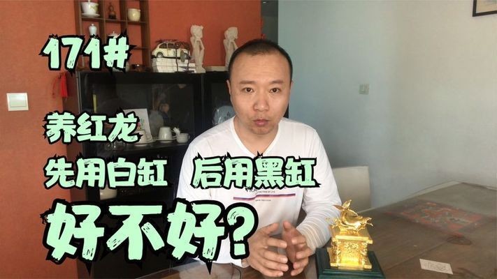 紅龍魚白缸養還是黑缸養比較好：關于紅龍魚的飼養選擇白缸還是黑缸各有其特點和適用情況