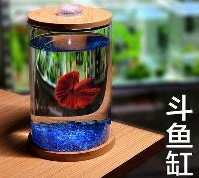 大魚缸如何換水 自來水：大魚缸如何換水以及處理自來水的詳細步驟和注意事項