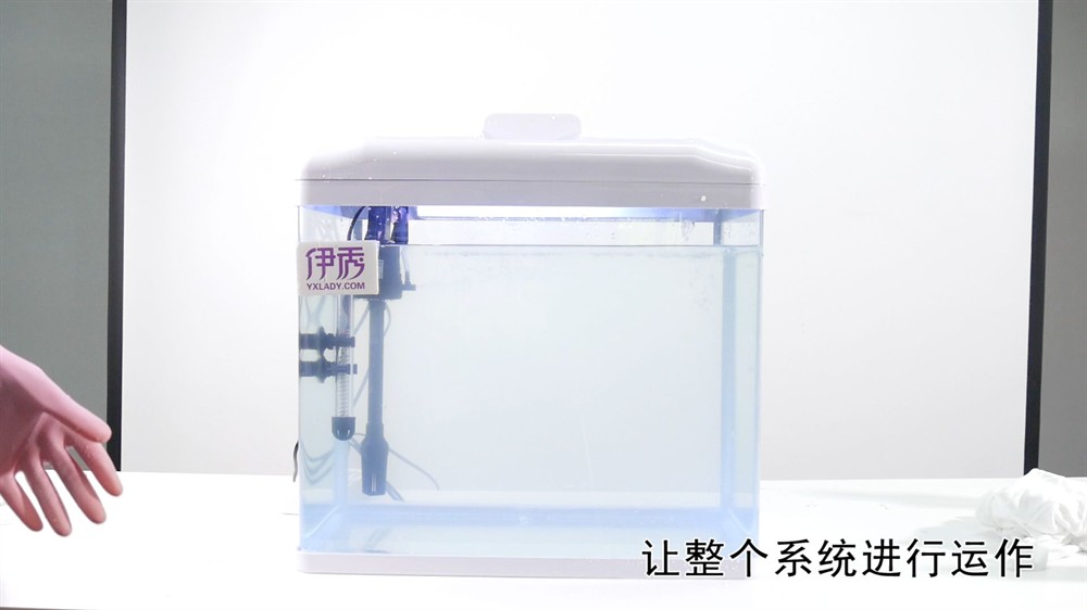 大魚缸里面的水多久時間換一次：大魚缸水換頻率受到多種因素影響