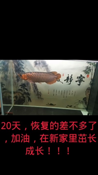 感謝你一路走來的陪伴
