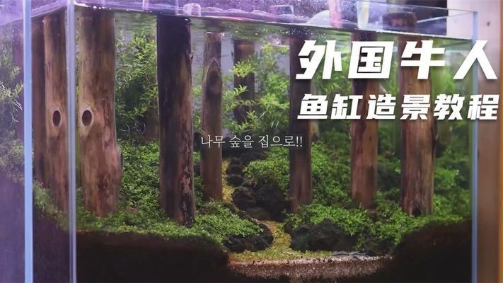 紅龍魚有名的漁場(chǎng)（紅龍魚有名的漁場(chǎng)是哪里）