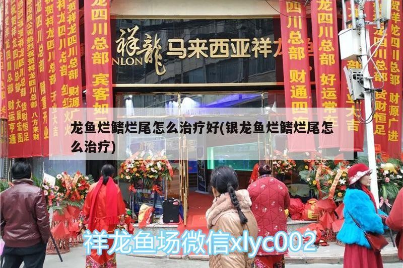 龍魚爛鰭爛尾怎么治療好(銀龍魚爛鰭爛尾怎么治療)