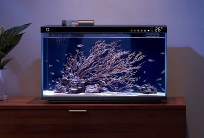 多久清洗魚缸：魚缸消毒劑清洗的方法