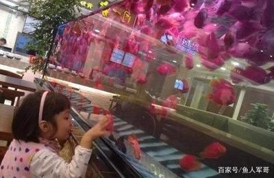 玻璃魚缸突然炸裂了：玻璃魚缸炸裂的原因及防范措施 玻璃魚缸突然炸裂了：玻璃魚缸炸裂的原因及防范措施 魚缸百科 第4張