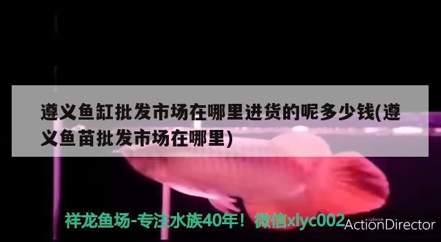 遵義魚缸批發市場在哪里進貨的呢多少錢(遵義魚苗批發市場在哪里)