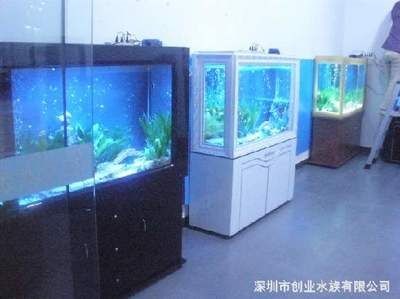 定做魚缸合同書模板：魚缸定做合同書模板