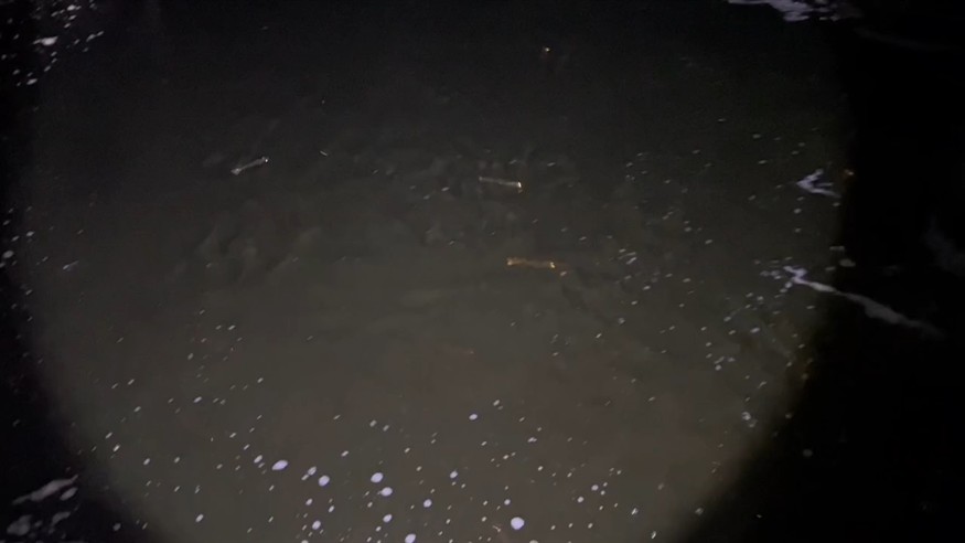 大燈一開 千軍萬馬來參見