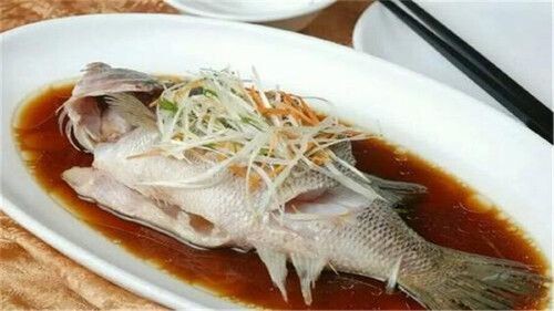 觀賞魚專用魚鹽怎么用的啊（觀賞魚專用鹽的使用方法）