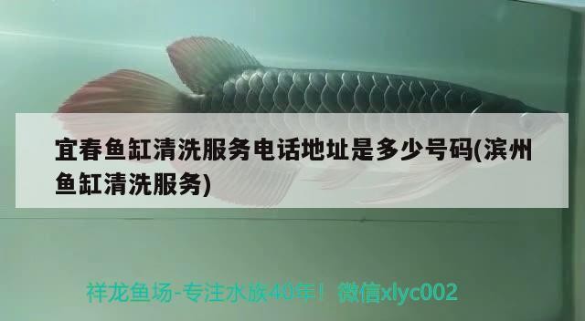 宜春魚缸清洗服務電話地址是多少號碼(濱州魚缸清洗服務)