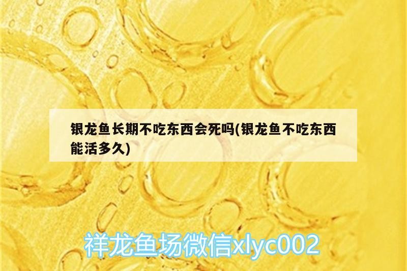 銀龍魚長期不吃東西會死嗎(銀龍魚不吃東西能活多久)