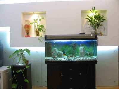 不養魚魚缸怎么處理風水學：不養魚魚缸的幾種處理方式