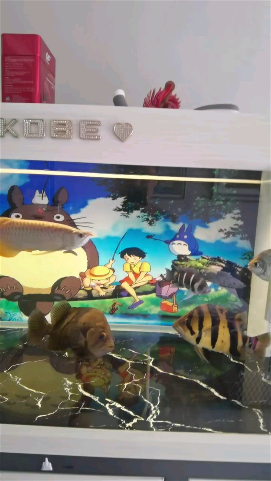 喂食的快樂