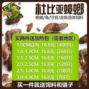 龍魚多少度要加溫了才能繁殖