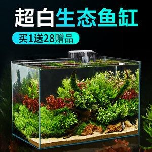 超白魚缸刮花了怎么辦視頻：超白魚缸劃痕修復技巧超白魚缸刮花處理方法