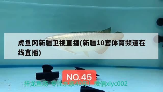 虎魚網新疆衛視直播(新疆10套體育頻道在線直播)